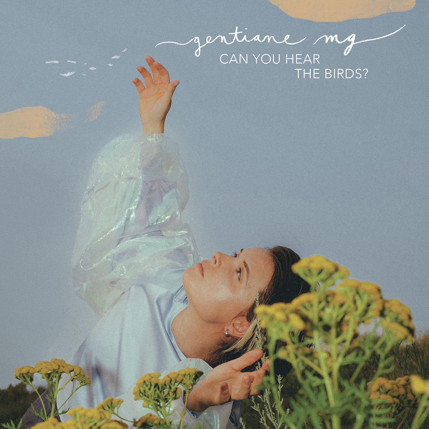 Can you hear the Birds ?